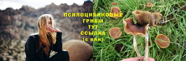 марки nbome Арсеньев